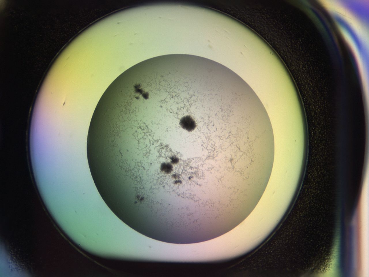 033m_G9_ImagerDefaults_7.jpg
