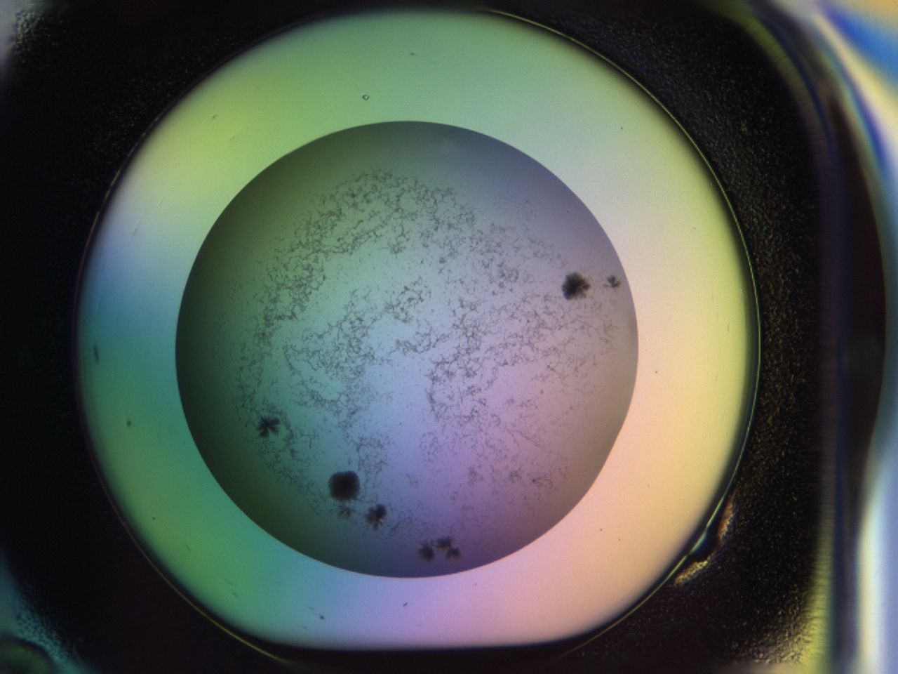033m_G10_ImagerDefaults_7.jpg