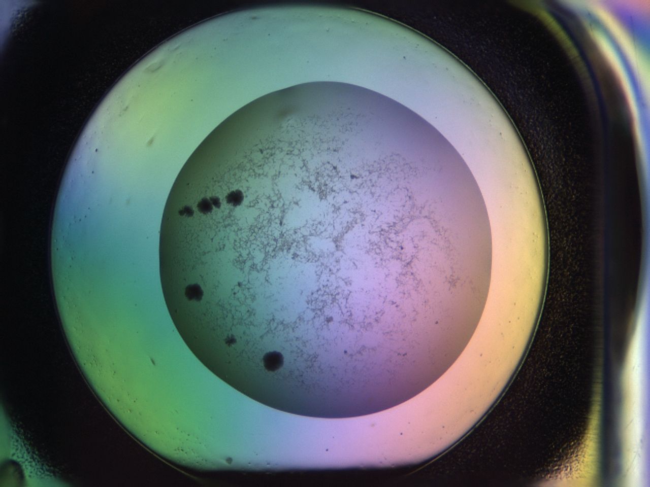 033m_G11_ImagerDefaults_7.jpg