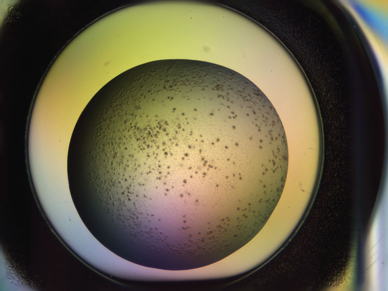 033m_G2_ImagerDefaults_7.jpg
