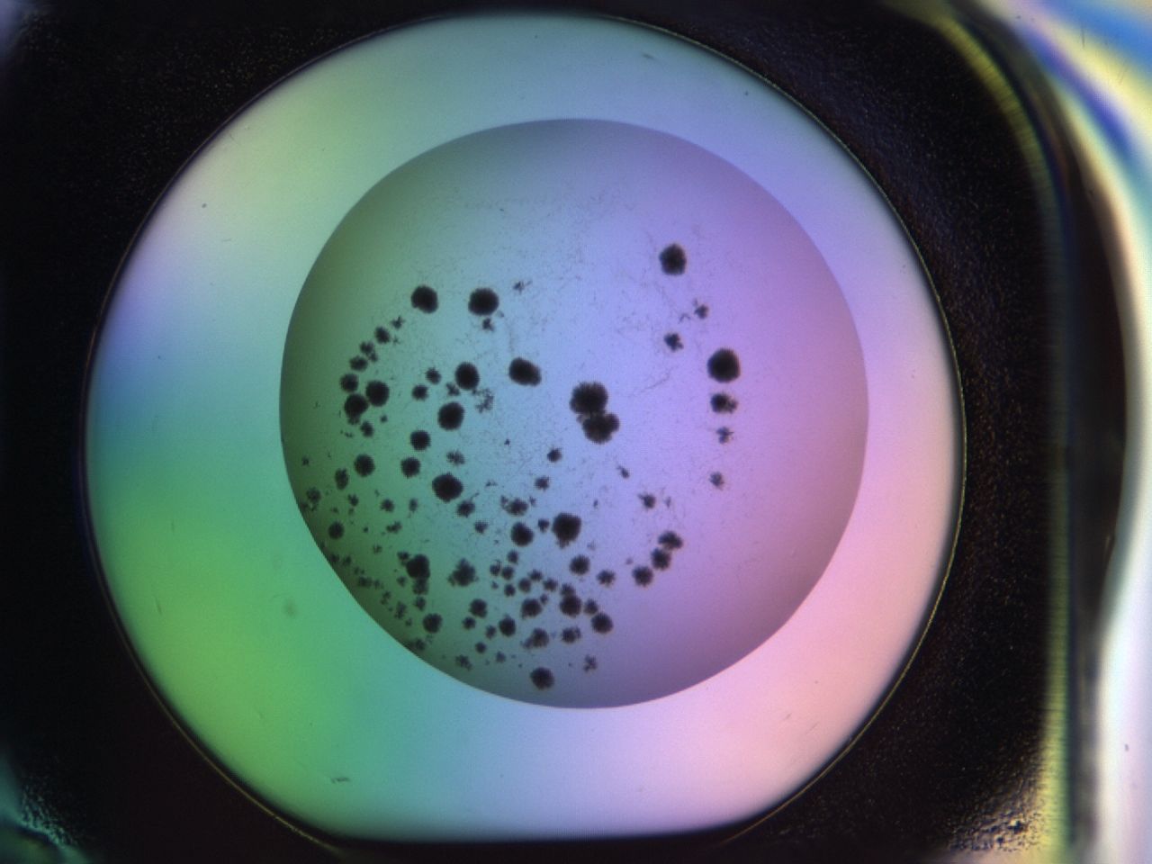 033m_H10_ImagerDefaults_7.jpg