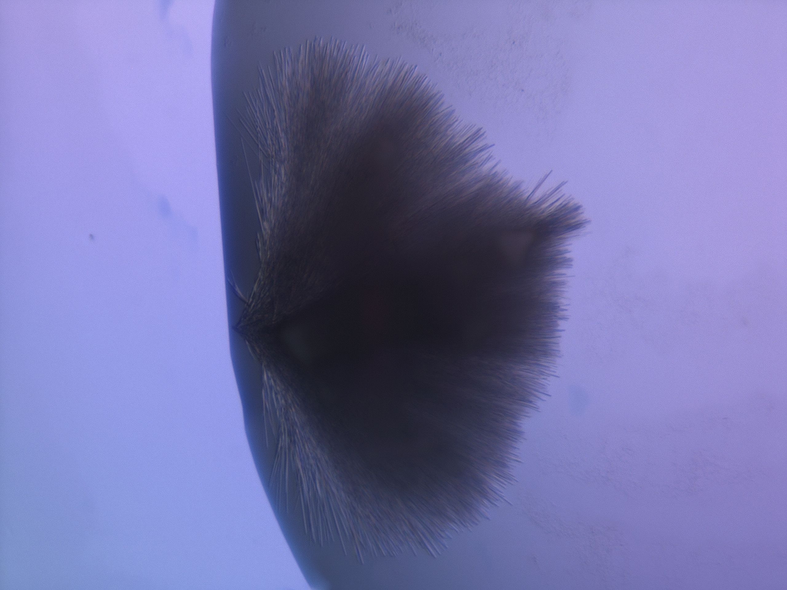 033n_D7_HighResolution_7.jpg