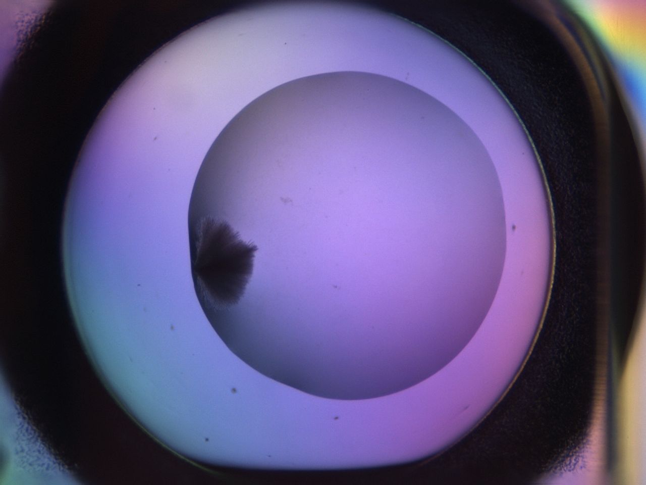 033n_D7_ImagerDefaults_7.jpg