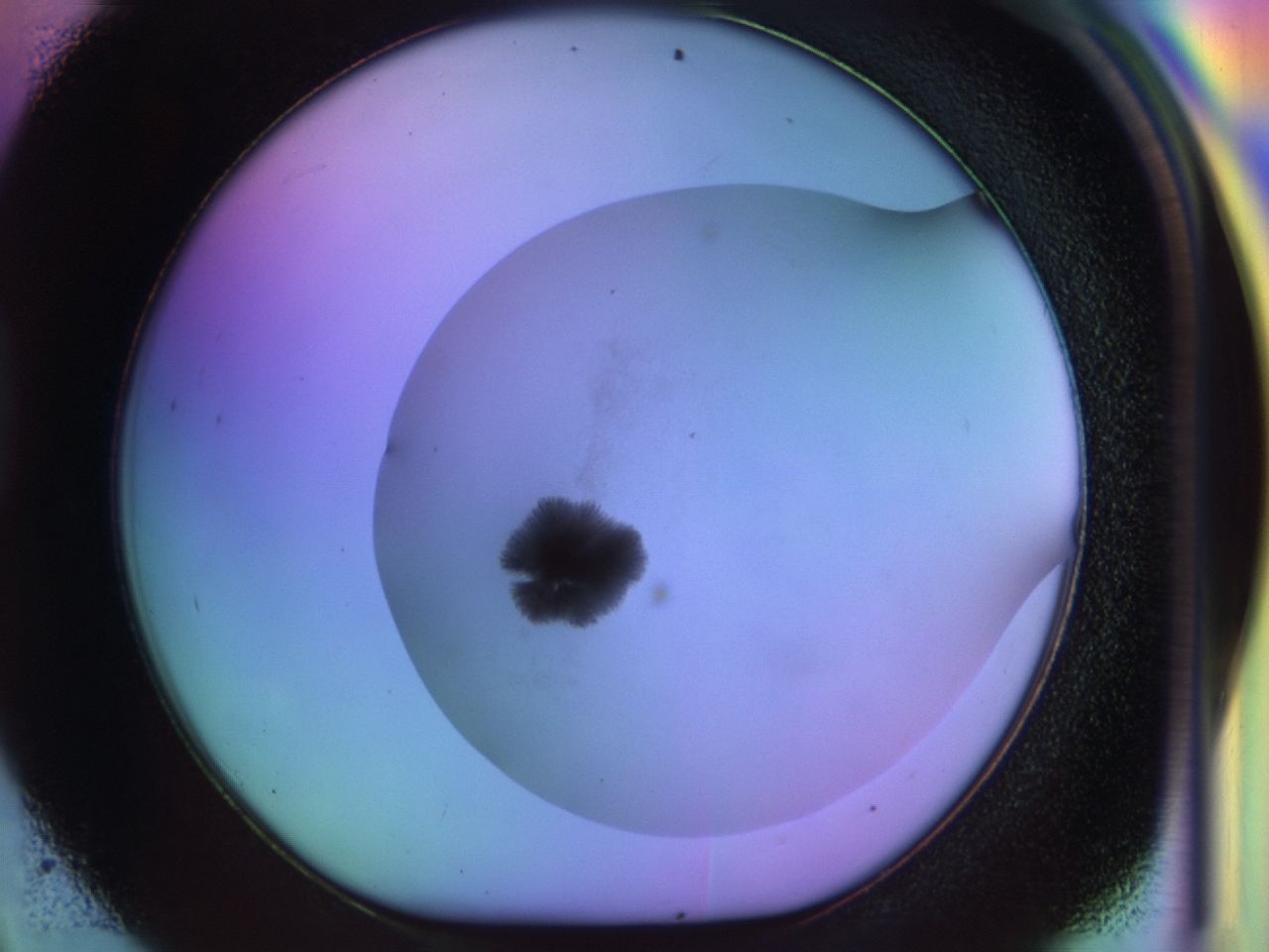 033n_D9_ImagerDefaults_8.jpg