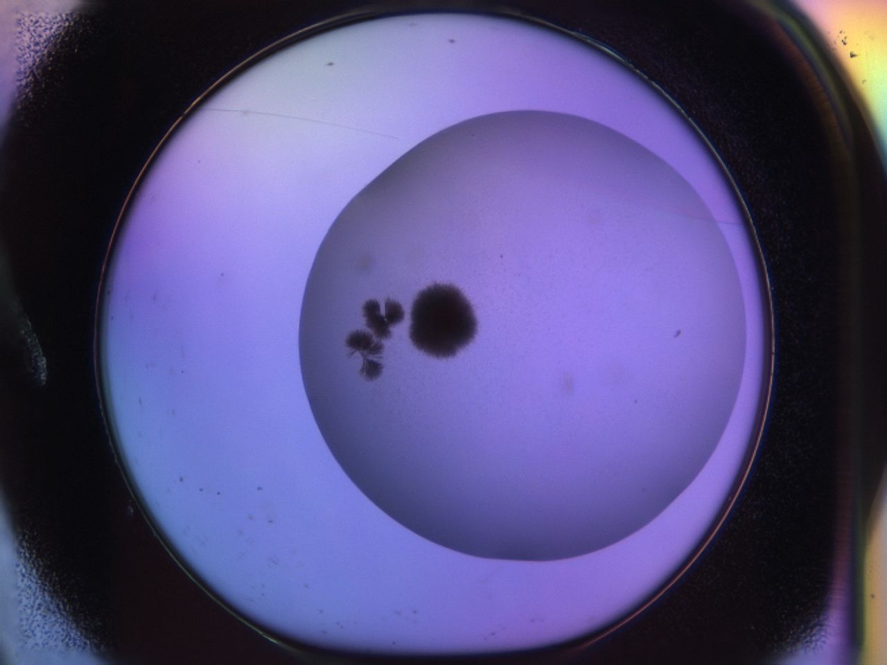 033n_A9_ImagerDefaults_7.jpg