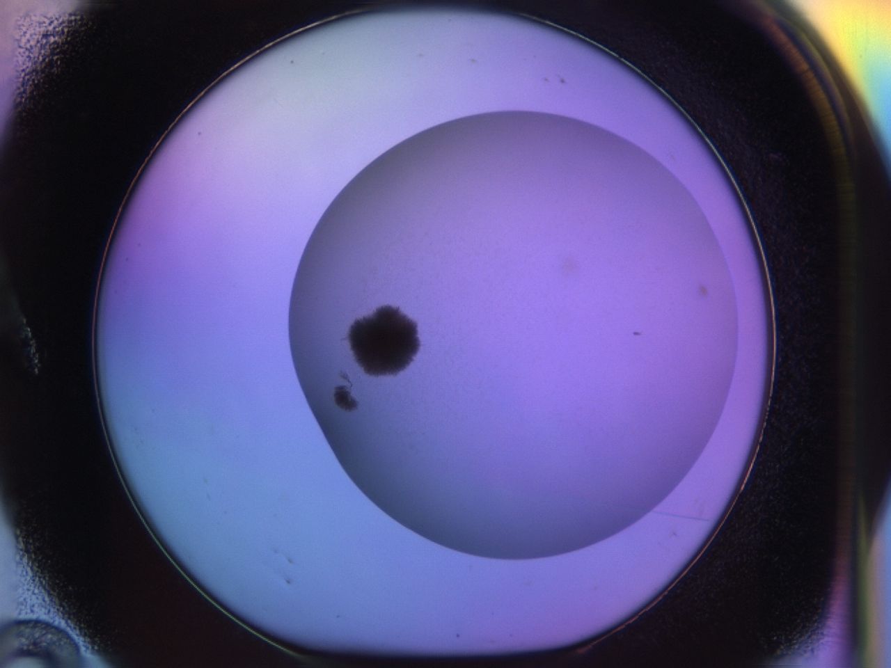 033n_A10_ImagerDefaults_8.jpg