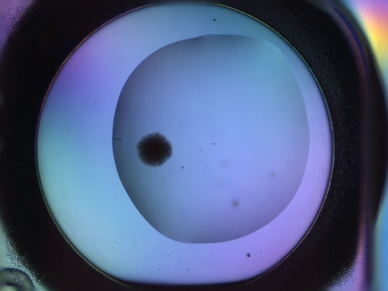 033n_C10_ImagerDefaults_8.jpg