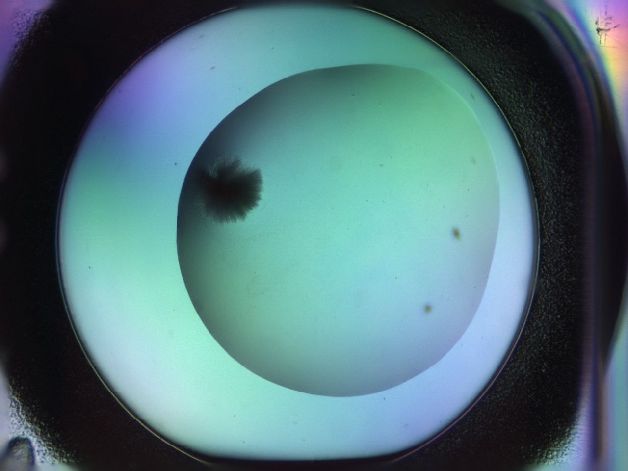 033n_C11_ImagerDefaults_8.jpg