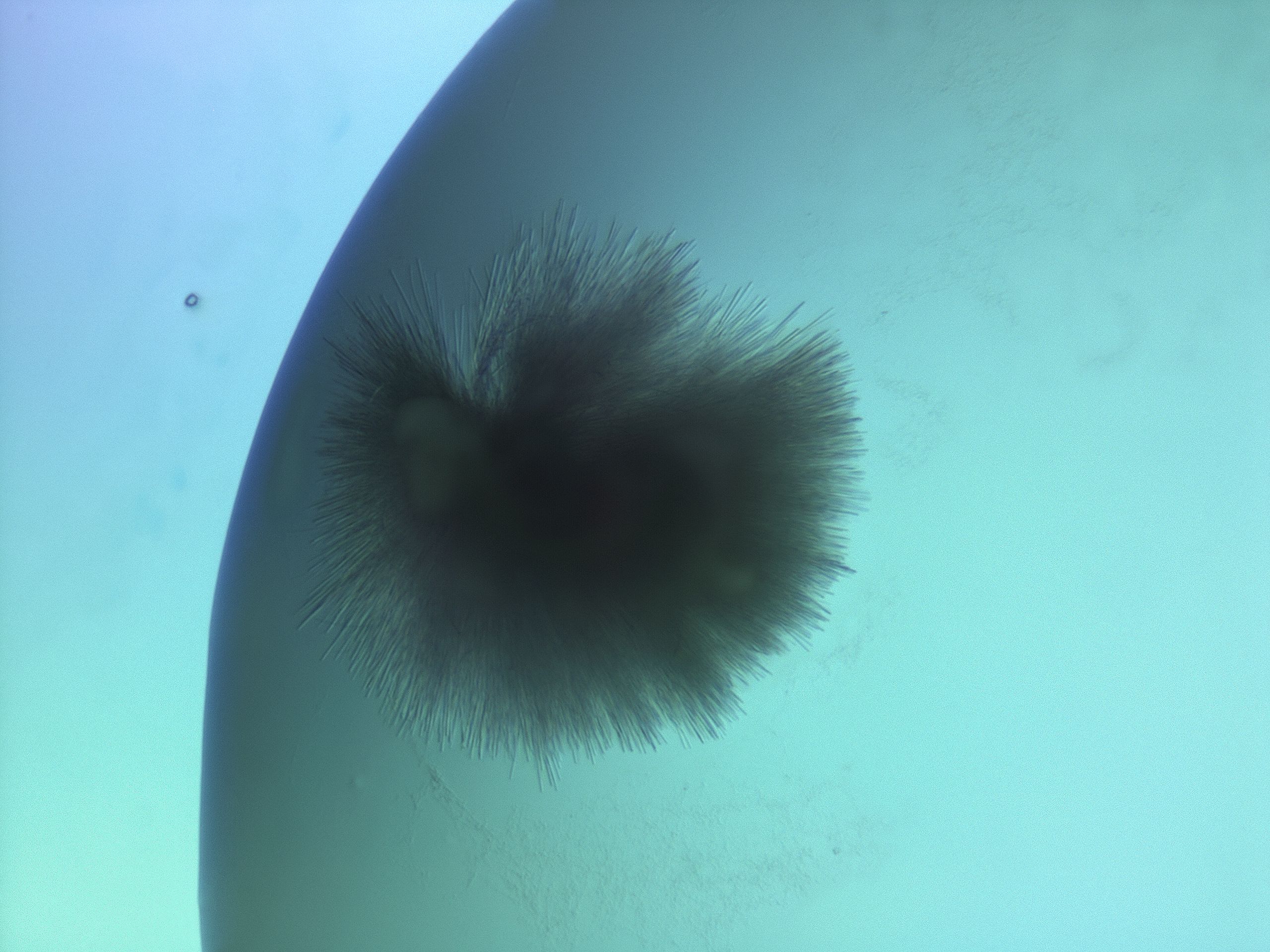 033n_C11_HighResolution_8.jpg