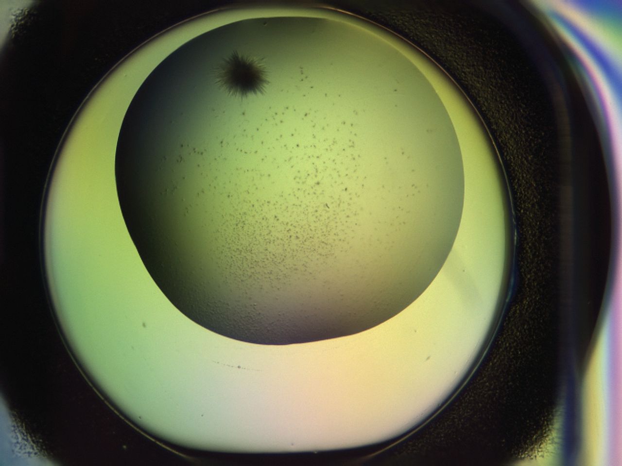 033n_H3_ImagerDefaults_8.jpg