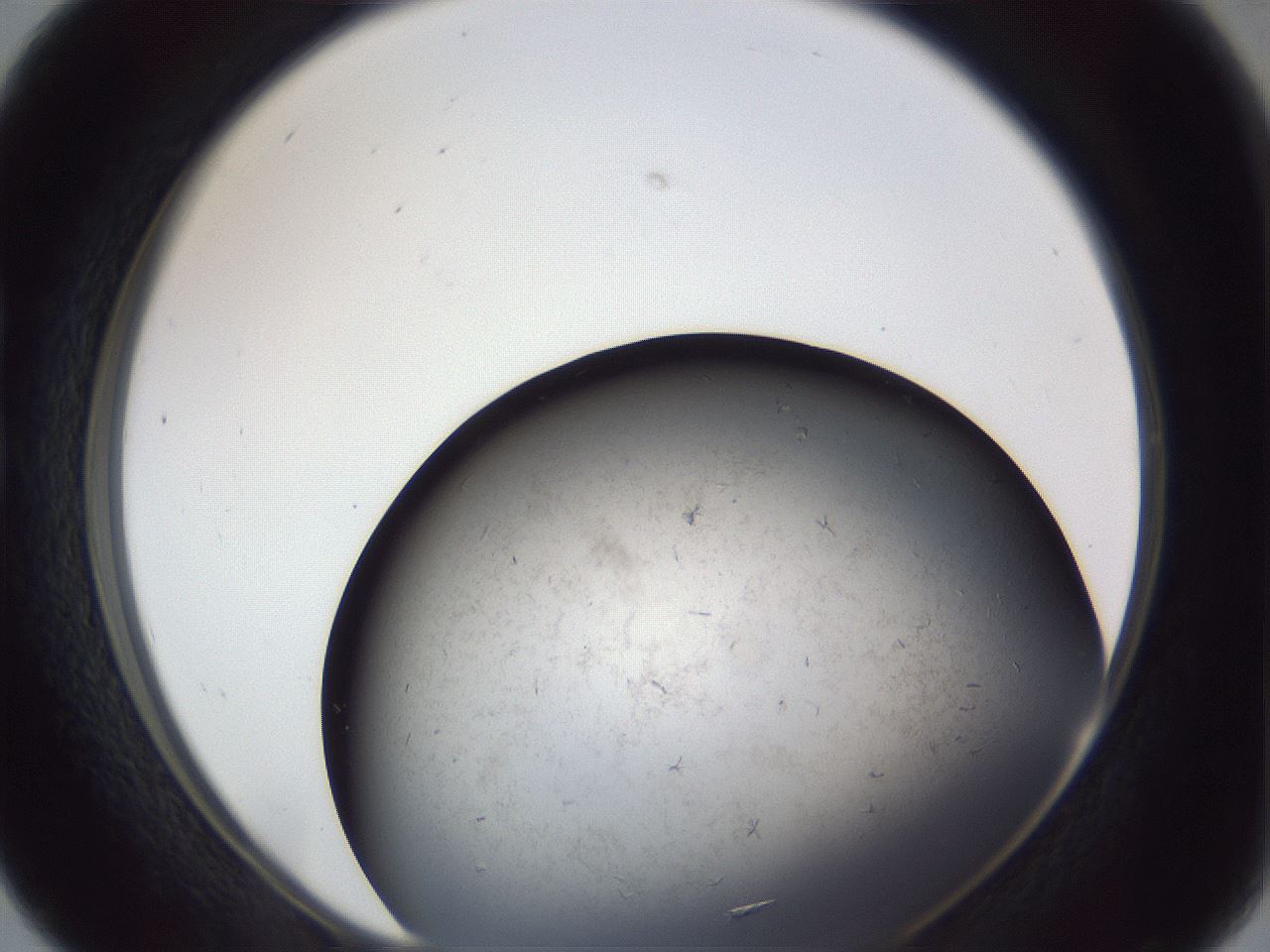 folderID369_plateID1369_batchID4733_wellNum16_profileID1_d1_r83263_ef.jpg