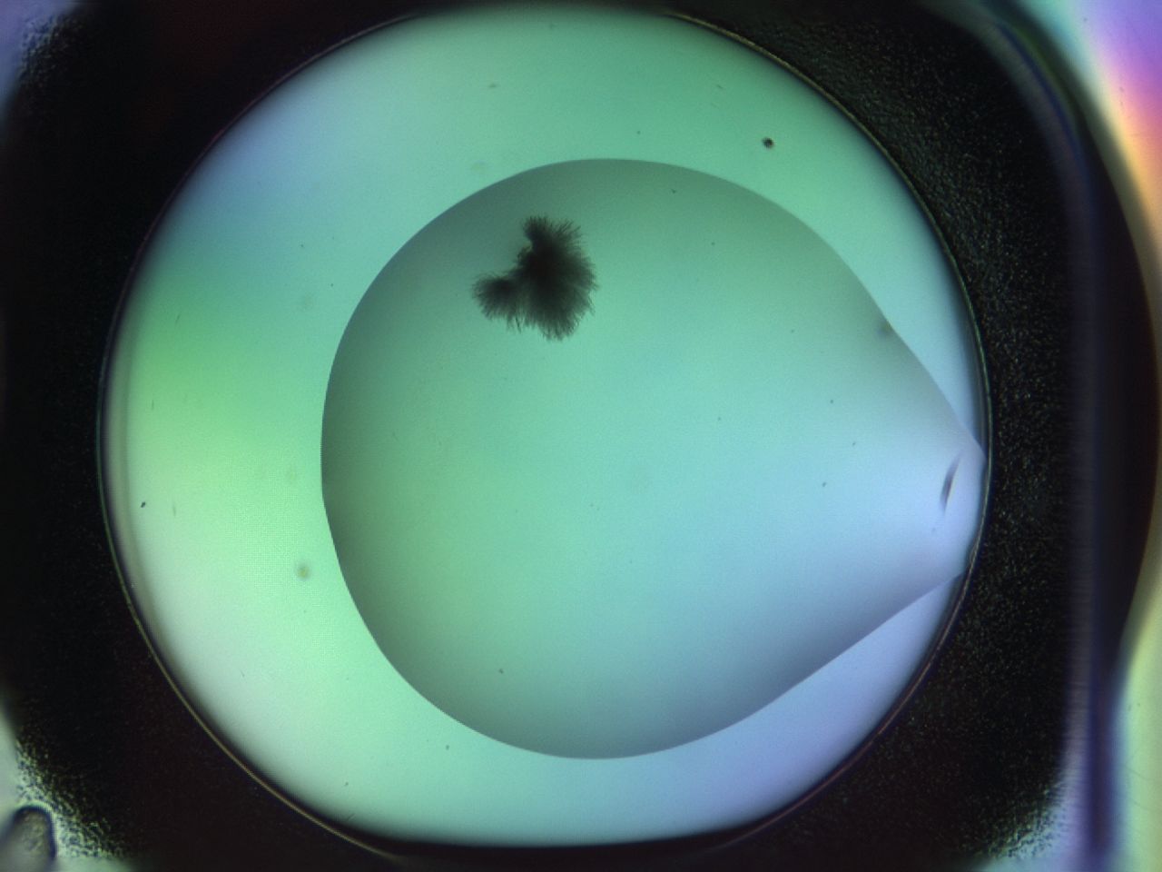033o_D11_ImagerDefaults_8.jpg