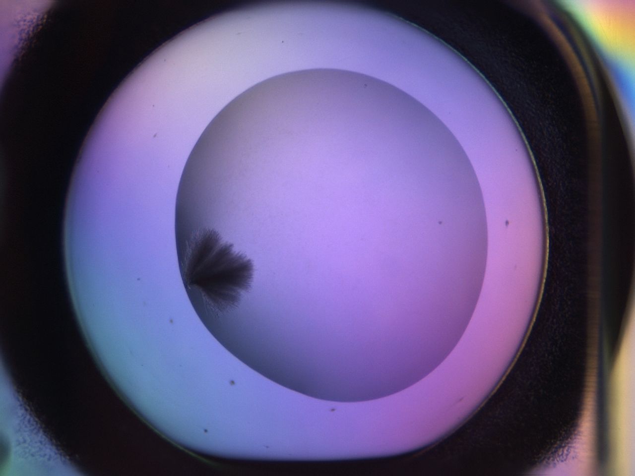 033p_D7_ImagerDefaults_7.jpg