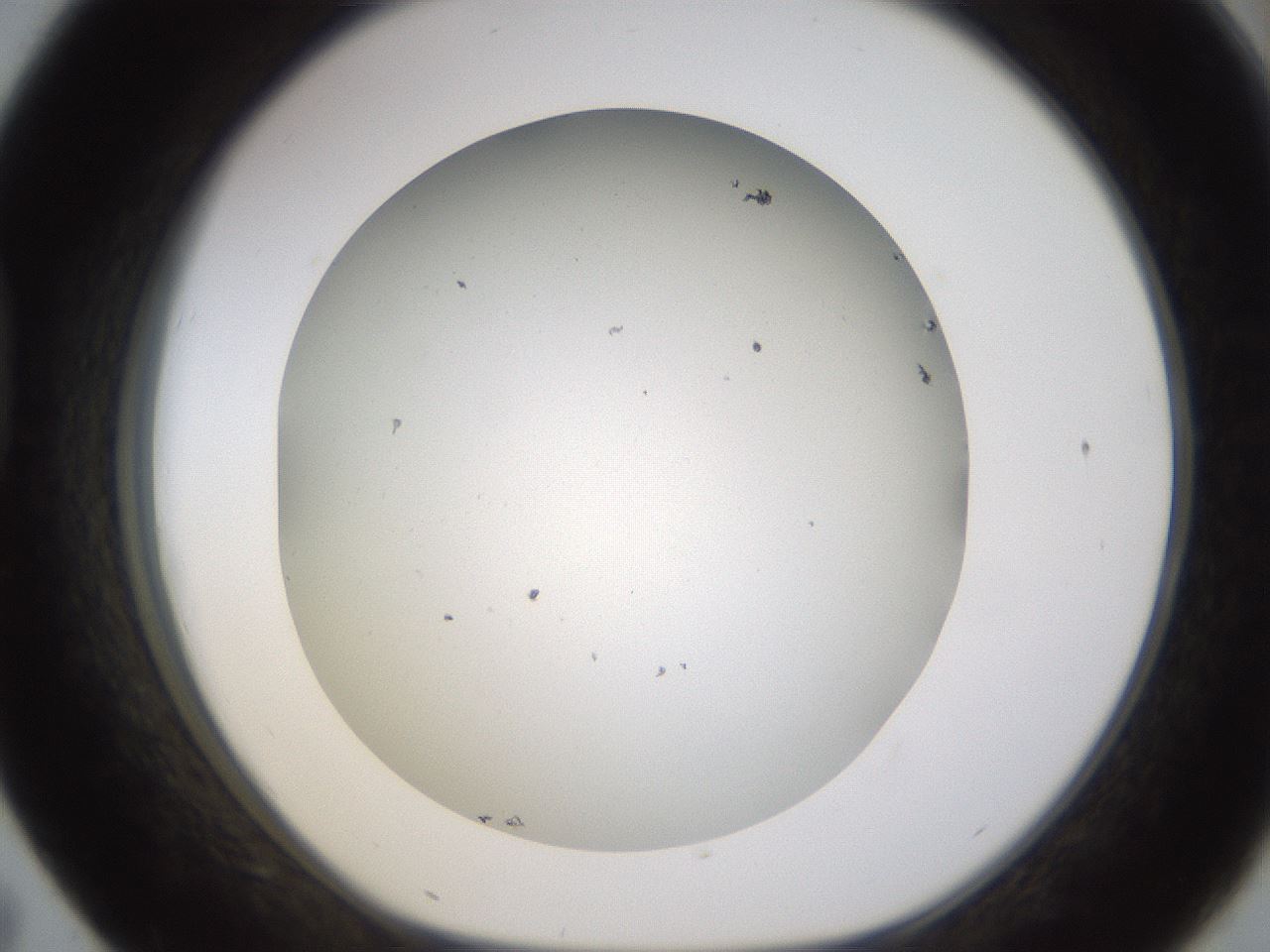 folderID371_plateID1371_batchID4735_wellNum43_profileID1_d1_r83482_ef.jpg