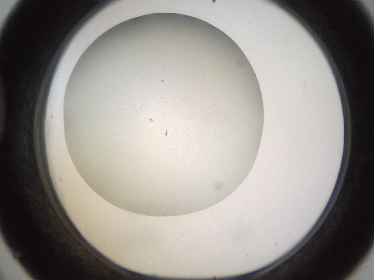 folderID371_plateID1371_batchID4735_wellNum45_profileID1_d1_r83484_ef.jpg