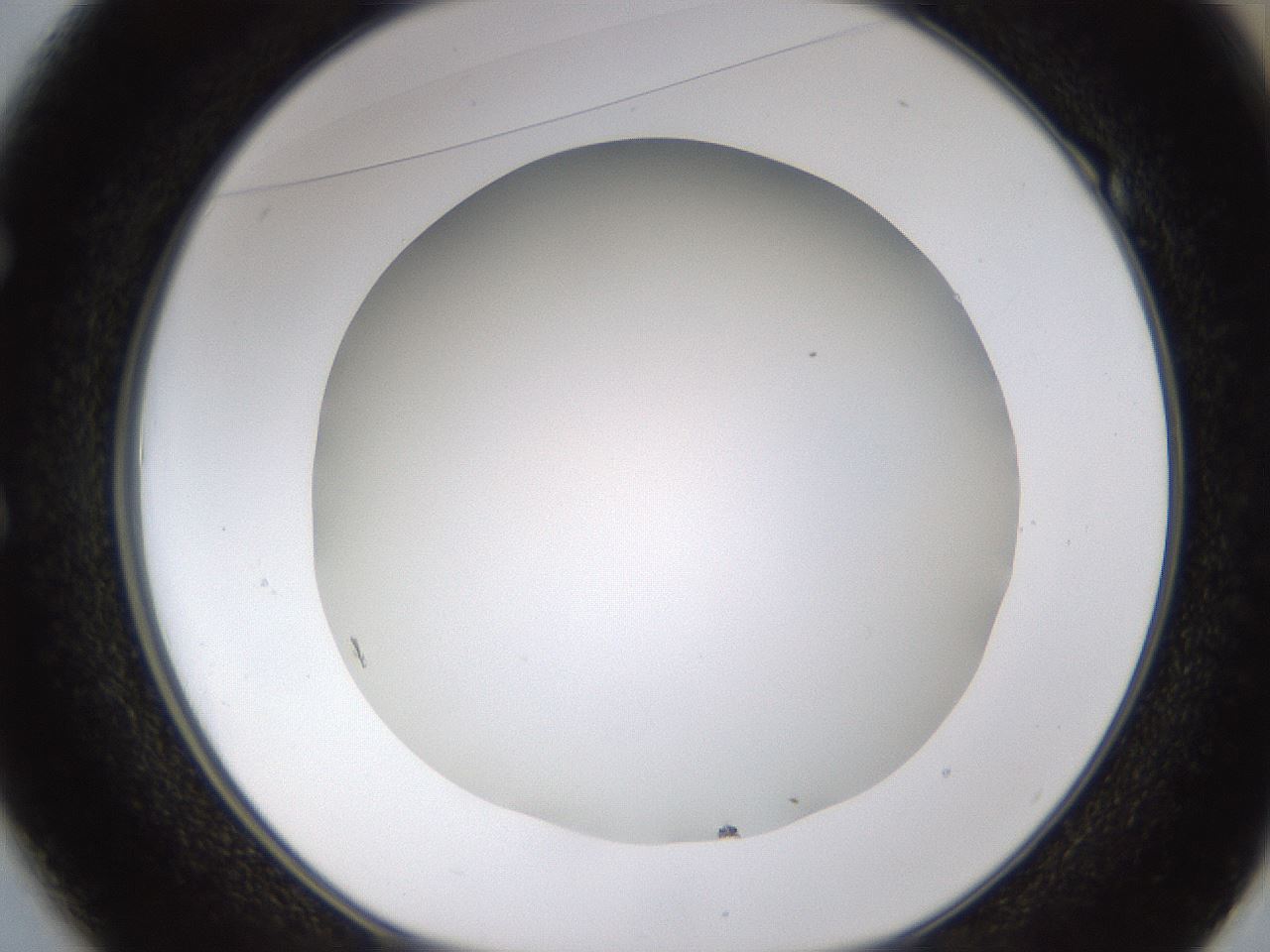 folderID371_plateID1371_batchID4735_wellNum49_profileID1_d1_r83488_ef.jpg