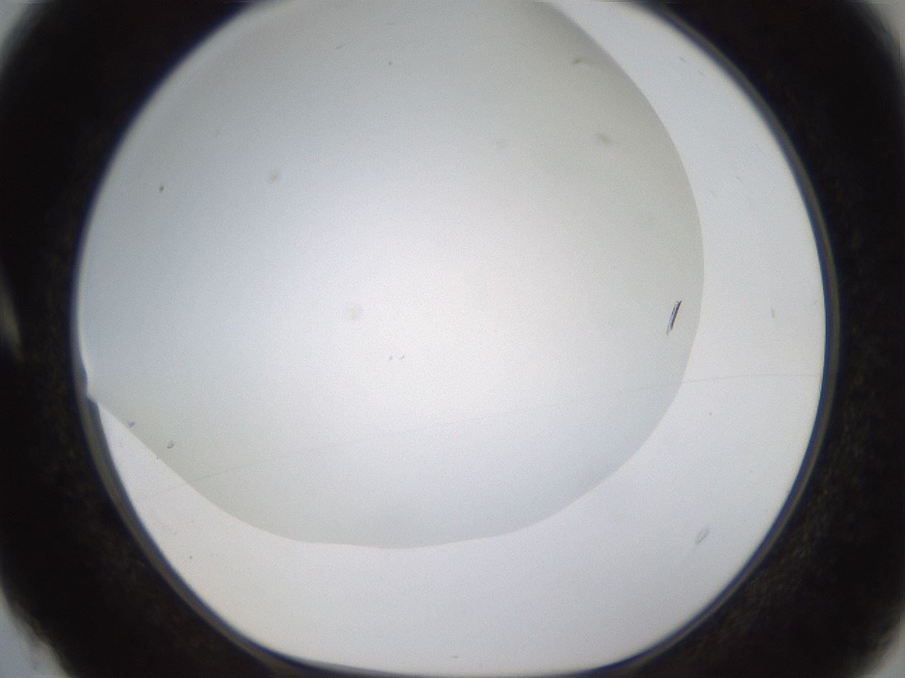 folderID371_plateID1371_batchID4735_wellNum4_profileID1_d1_r83443_ef.jpg