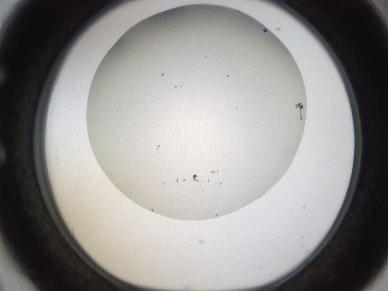 folderID371_plateID1371_batchID4735_wellNum54_profileID1_d1_r83493_ef.jpg