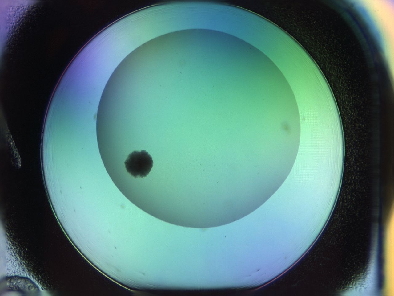 033p_A12_ImagerDefaults_8.jpg