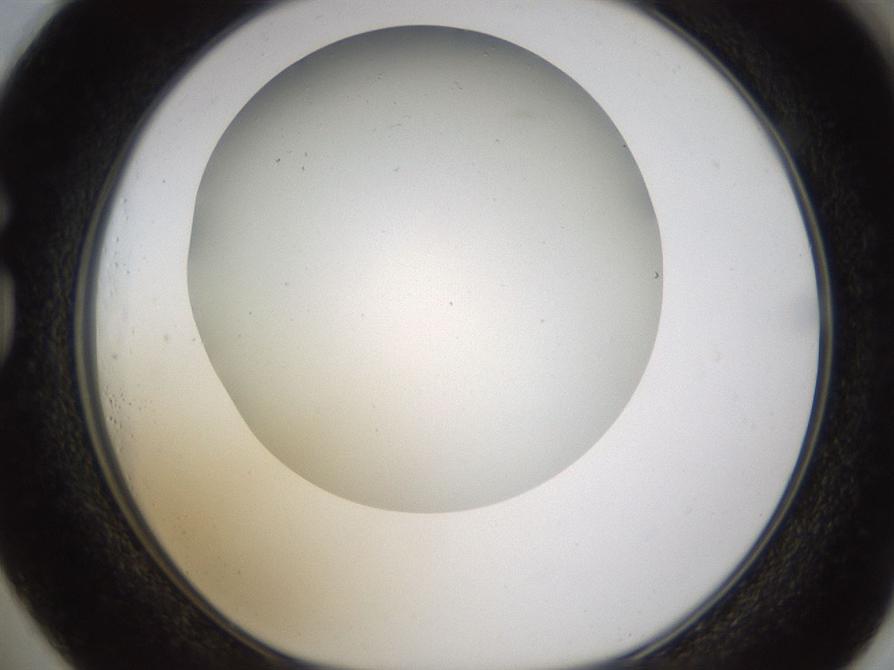 folderID371_plateID1371_batchID4735_wellNum73_profileID1_d1_r83512_ef.jpg