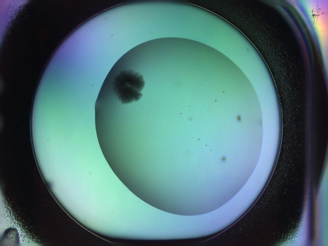 033p_C11_ImagerDefaults_7.jpg