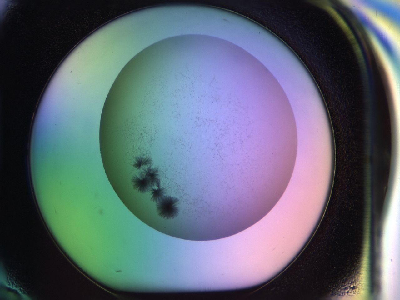 033p_H10_ImagerDefaults_7.jpg