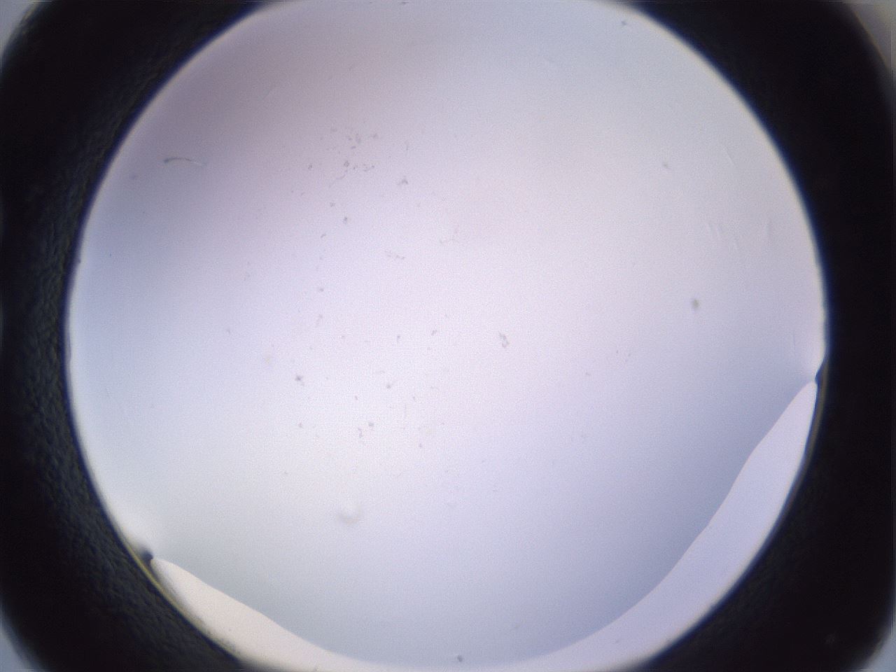 folderID372_plateID1372_batchID4734_wellNum26_profileID1_d1_r83369_ef.jpg
