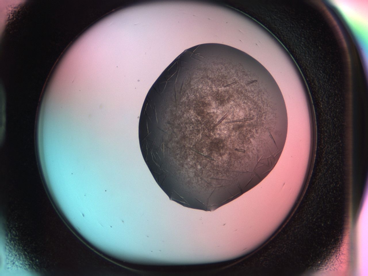 033r_D5_ImagerDefaults_8.jpg