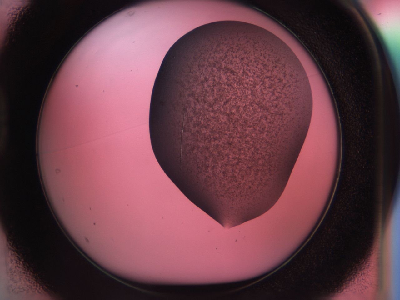 033r_D1_ImagerDefaults_7.jpg