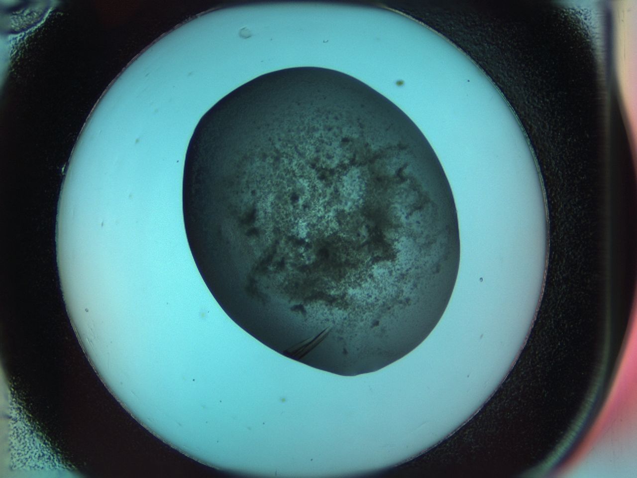 033r_C10_ImagerDefaults_9.jpg