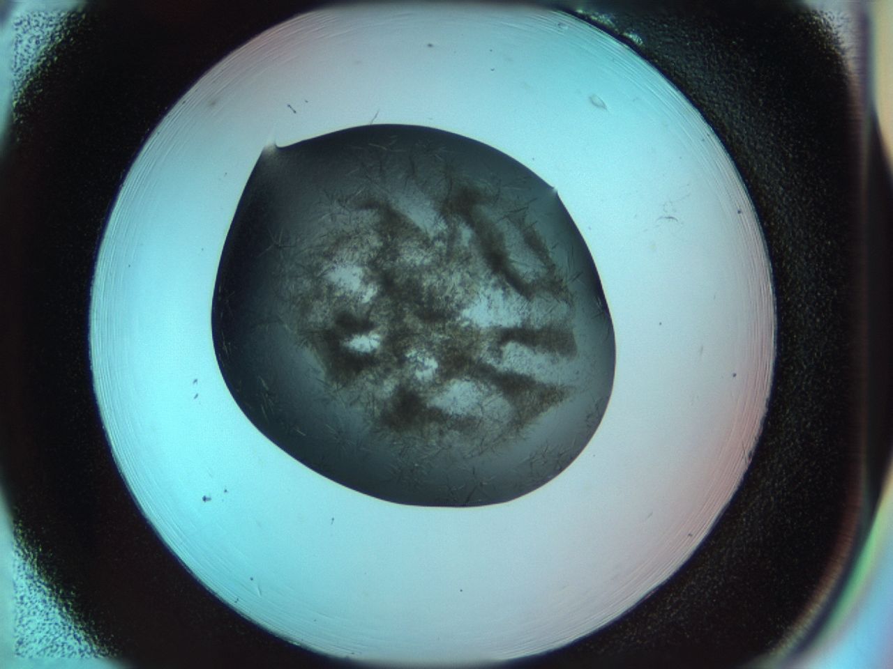 033r_B6_ImagerDefaults_7.jpg