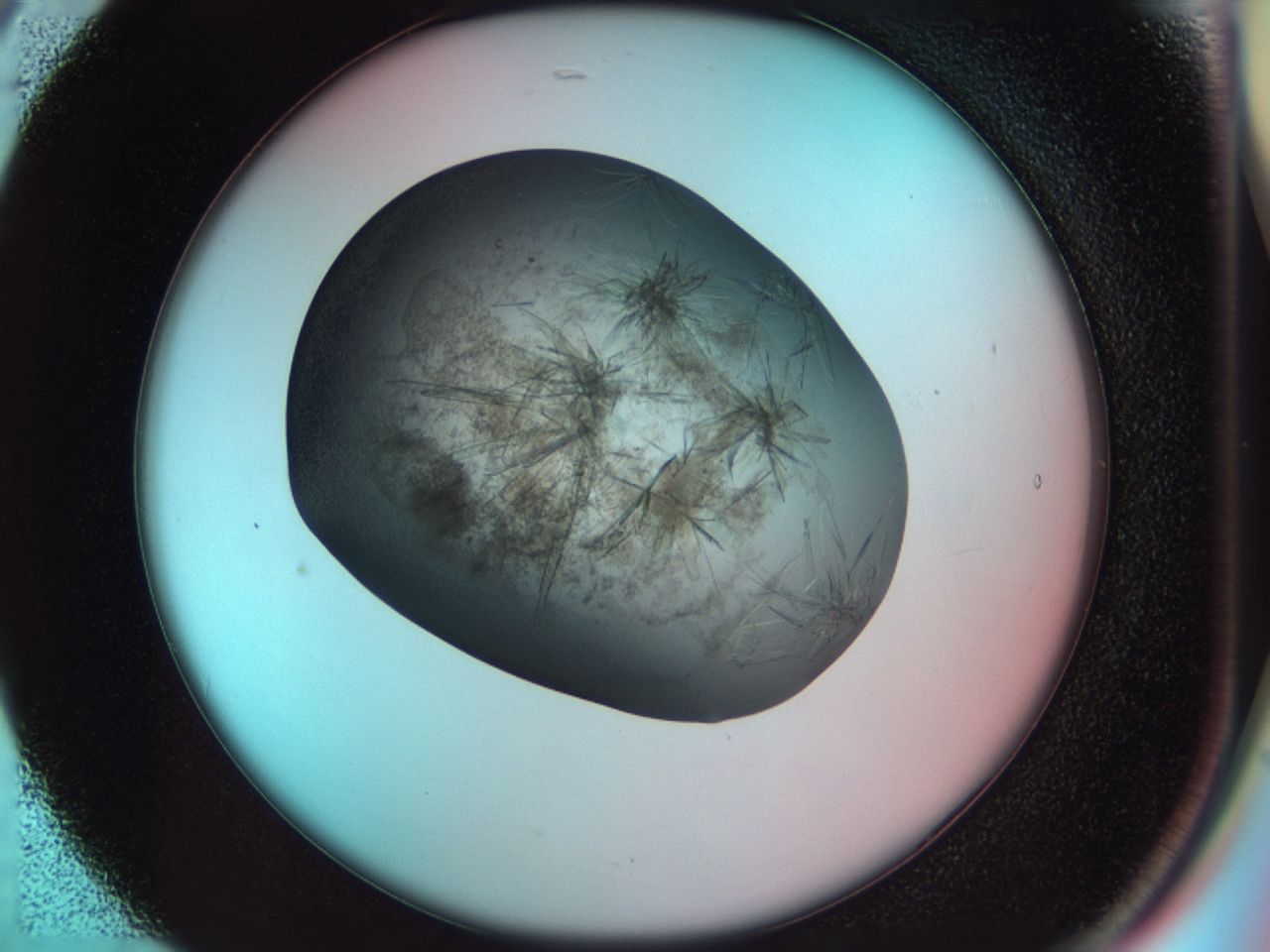 033r_B5_ImagerDefaults_7.jpg