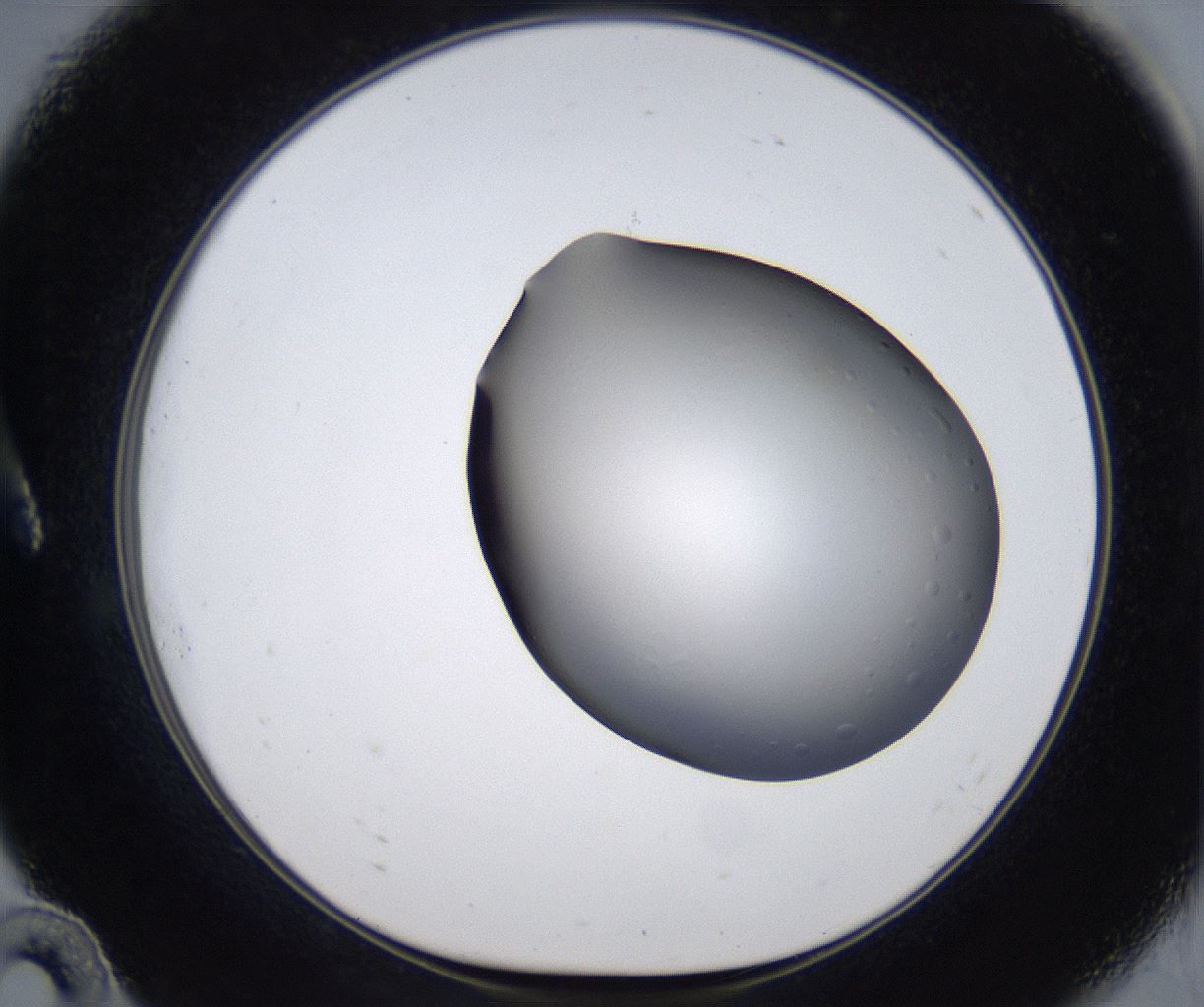 folderID373_plateID2373_batchID11191_wellNum10_profileID1_d1_r175276_ef.jpg