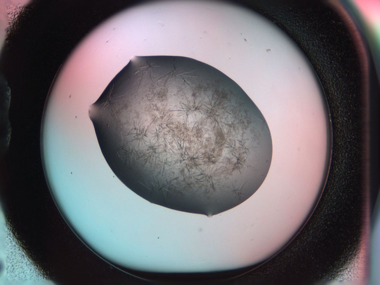 033r_B5_ImagerDefaults_8.jpg