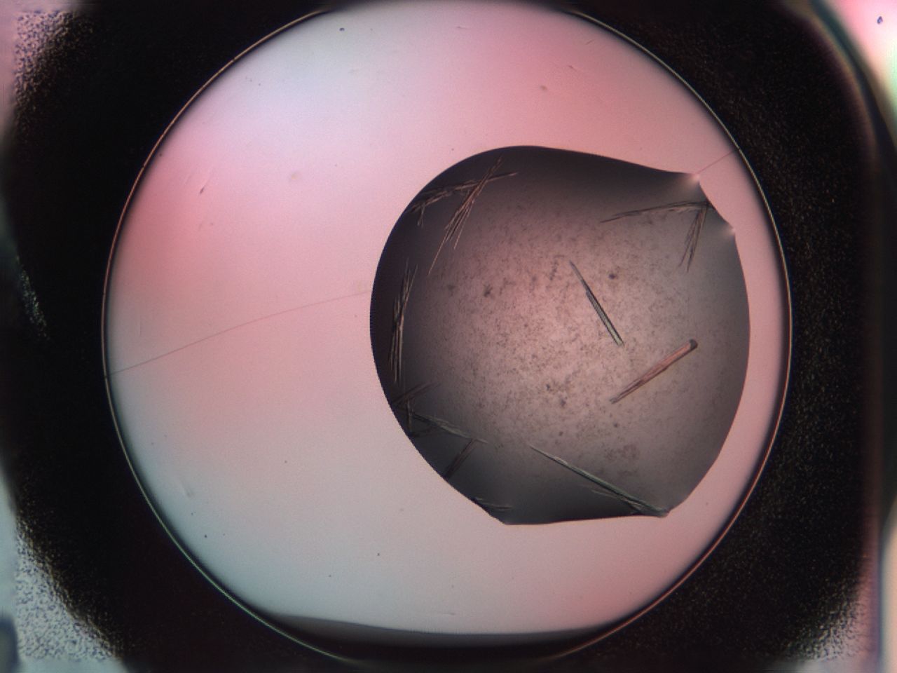 033r_A4_ImagerDefaults_9.jpg