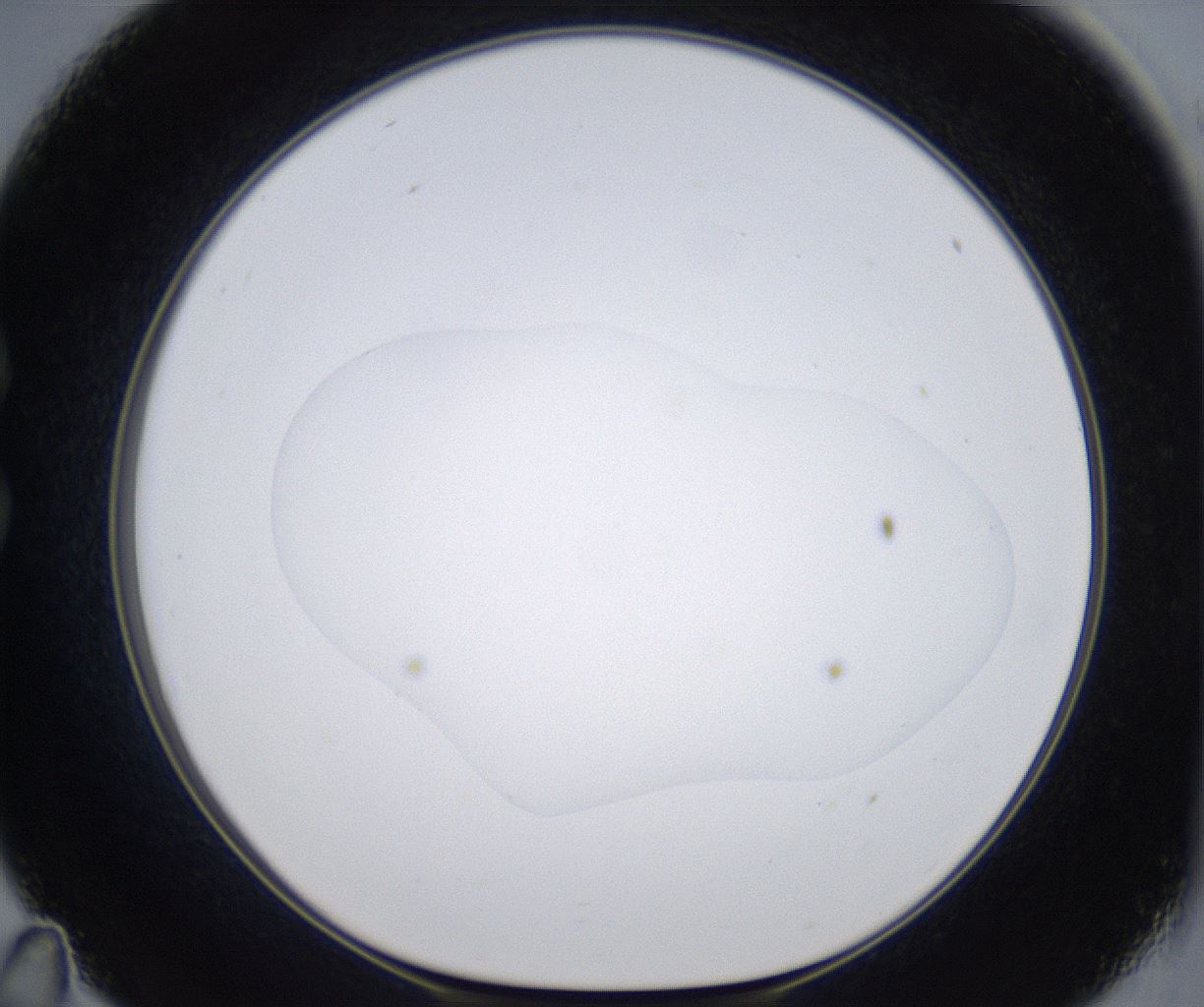 folderID374_plateID2374_batchID11190_wellNum35_profileID1_d1_r175205_ef.jpg