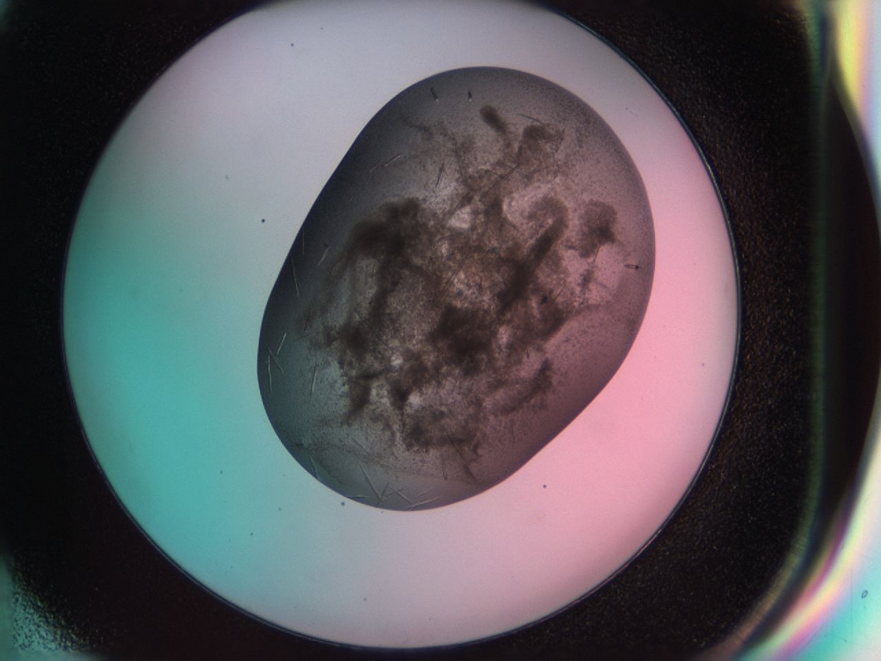 033r_G6_ImagerDefaults_7.jpg