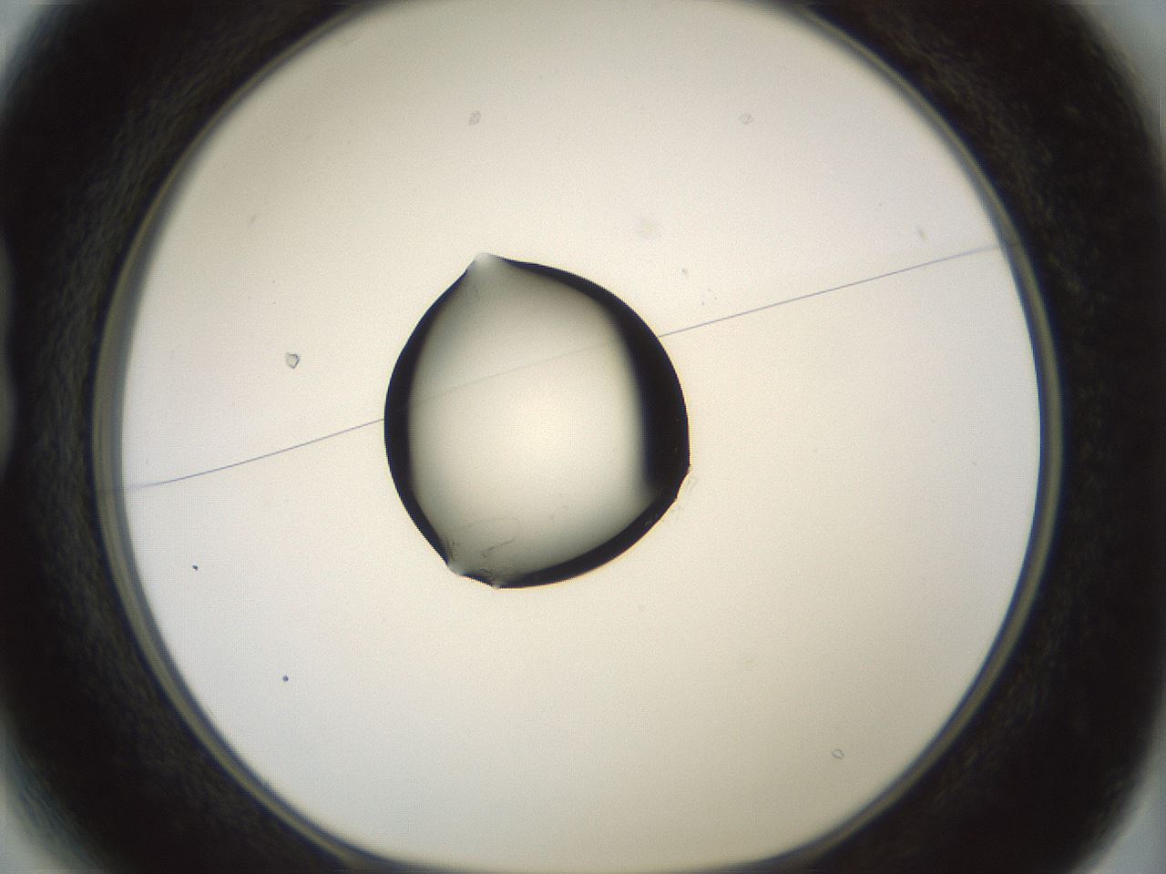 folderID375_plateID1375_batchID4963_wellNum13_profileID1_d1_r83740_ef.jpg