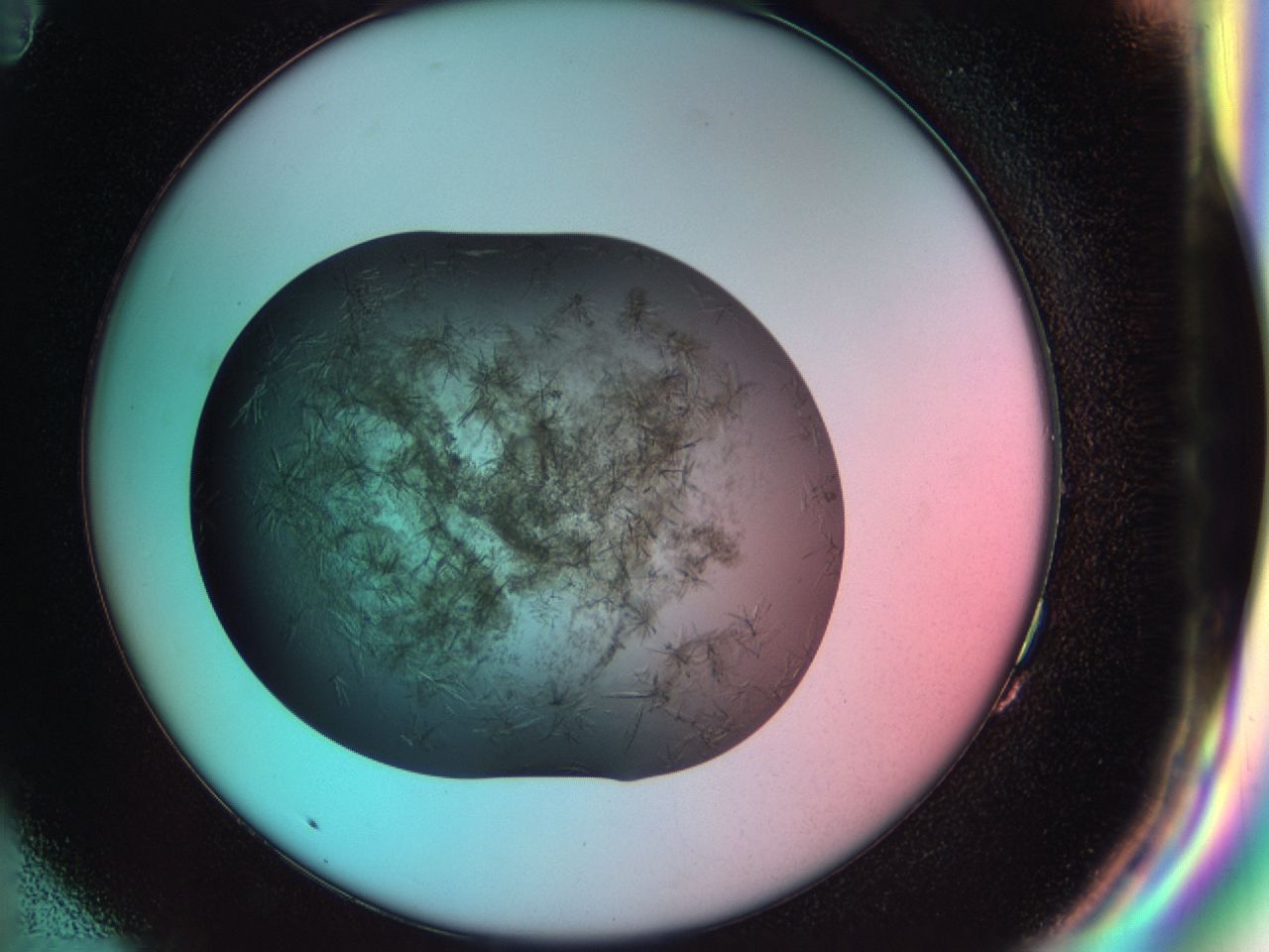 033r_G11_ImagerDefaults_7.jpg