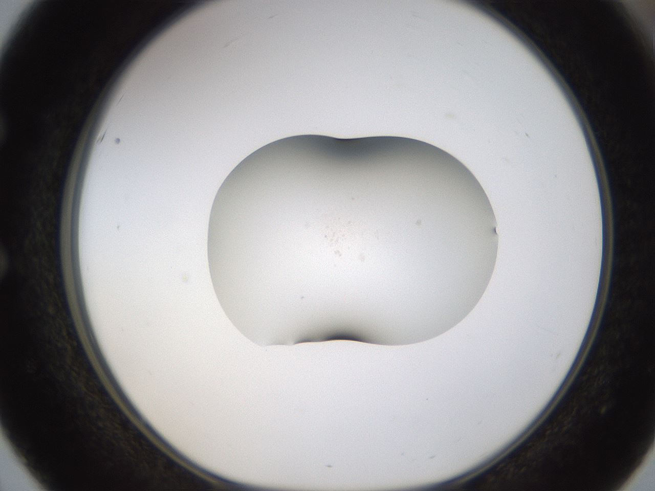 folderID376_plateID1376_batchID4964_wellNum51_profileID1_d1_r83874_ef.jpg