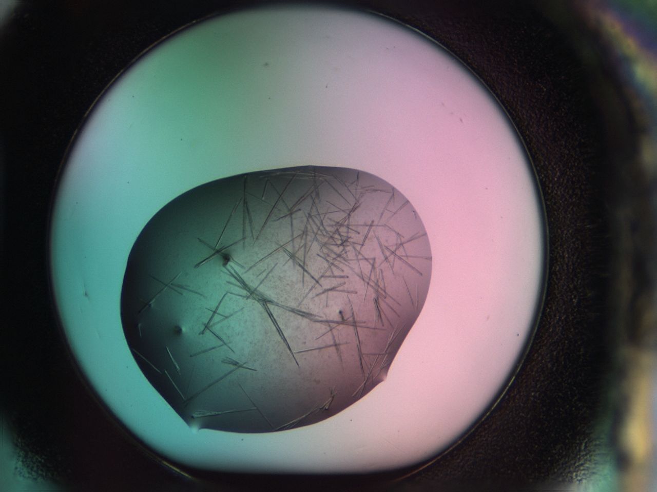 033r_H5_ImagerDefaults_9.jpg