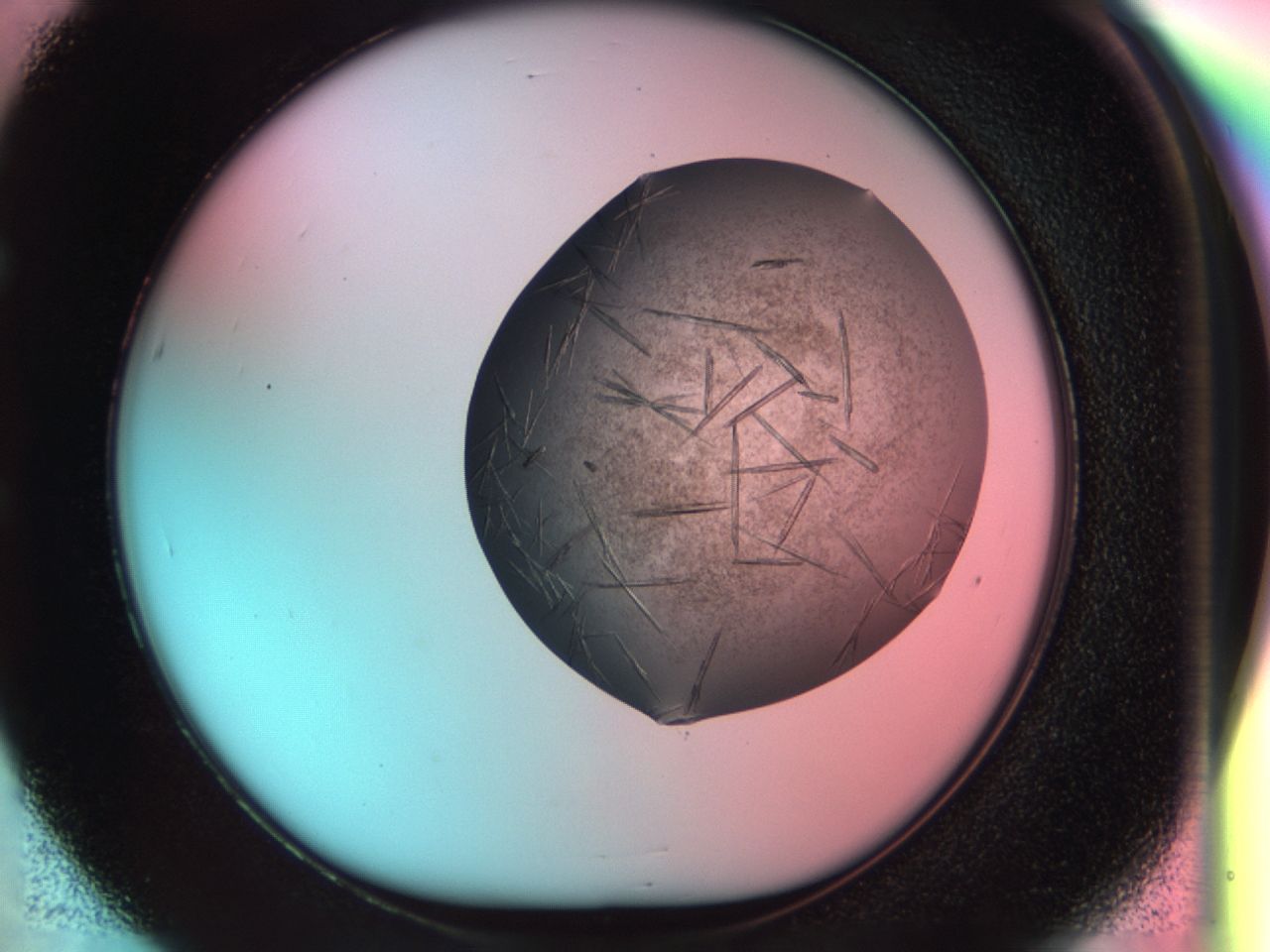 033r_E5_ImagerDefaults_8.jpg
