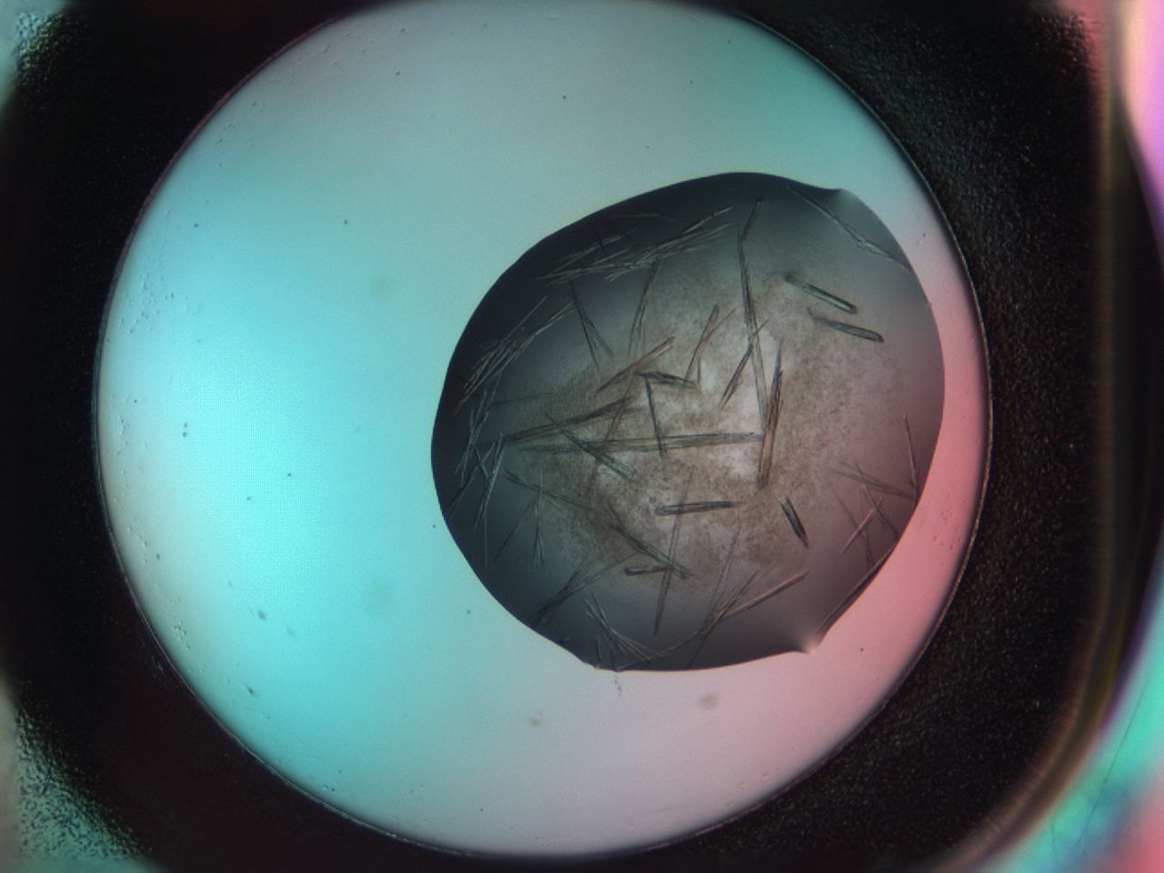 033r_E5_ImagerDefaults_9.jpg
