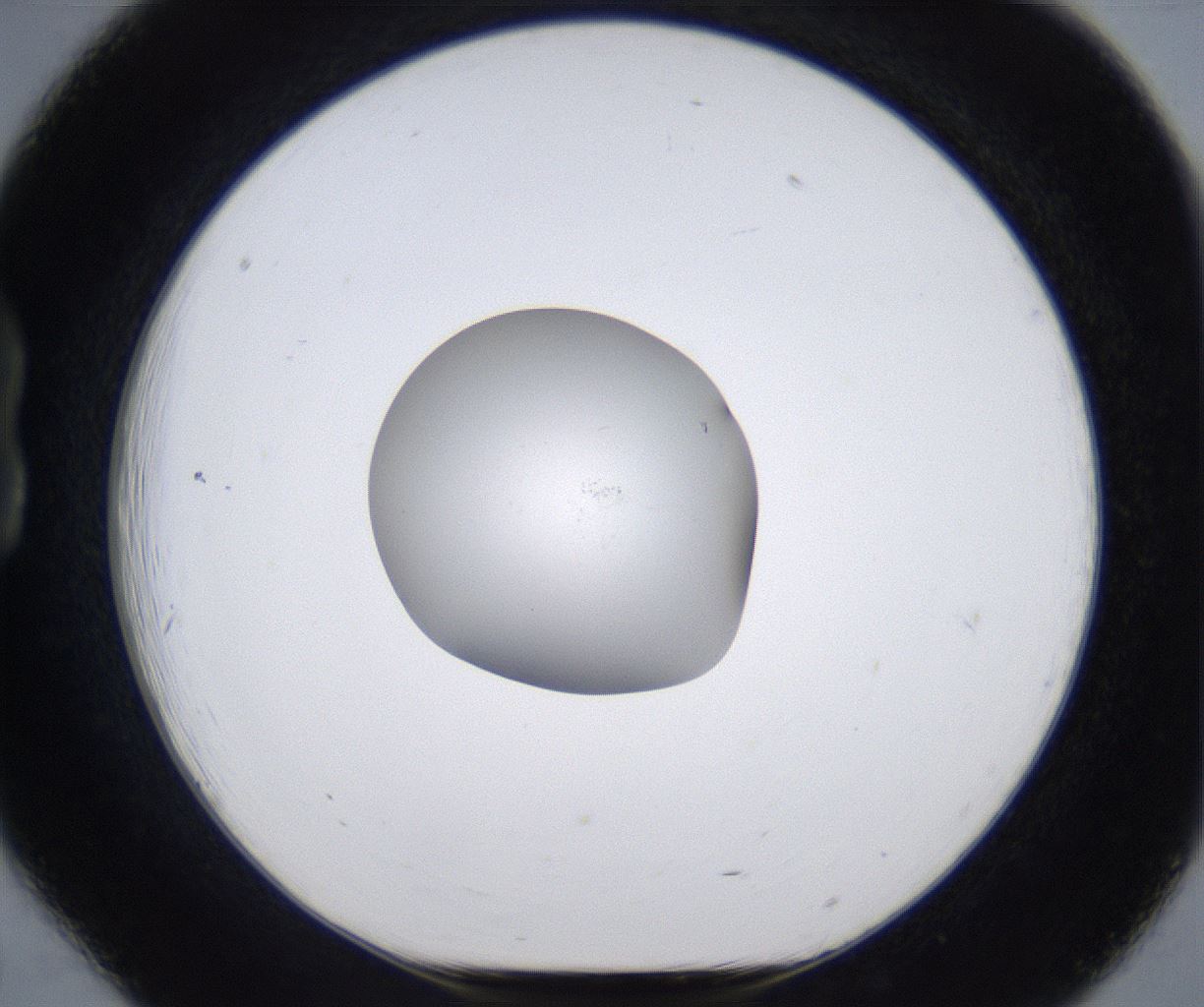 folderID377_plateID2377_batchID11227_wellNum18_profileID1_d1_r175668_ef.jpg