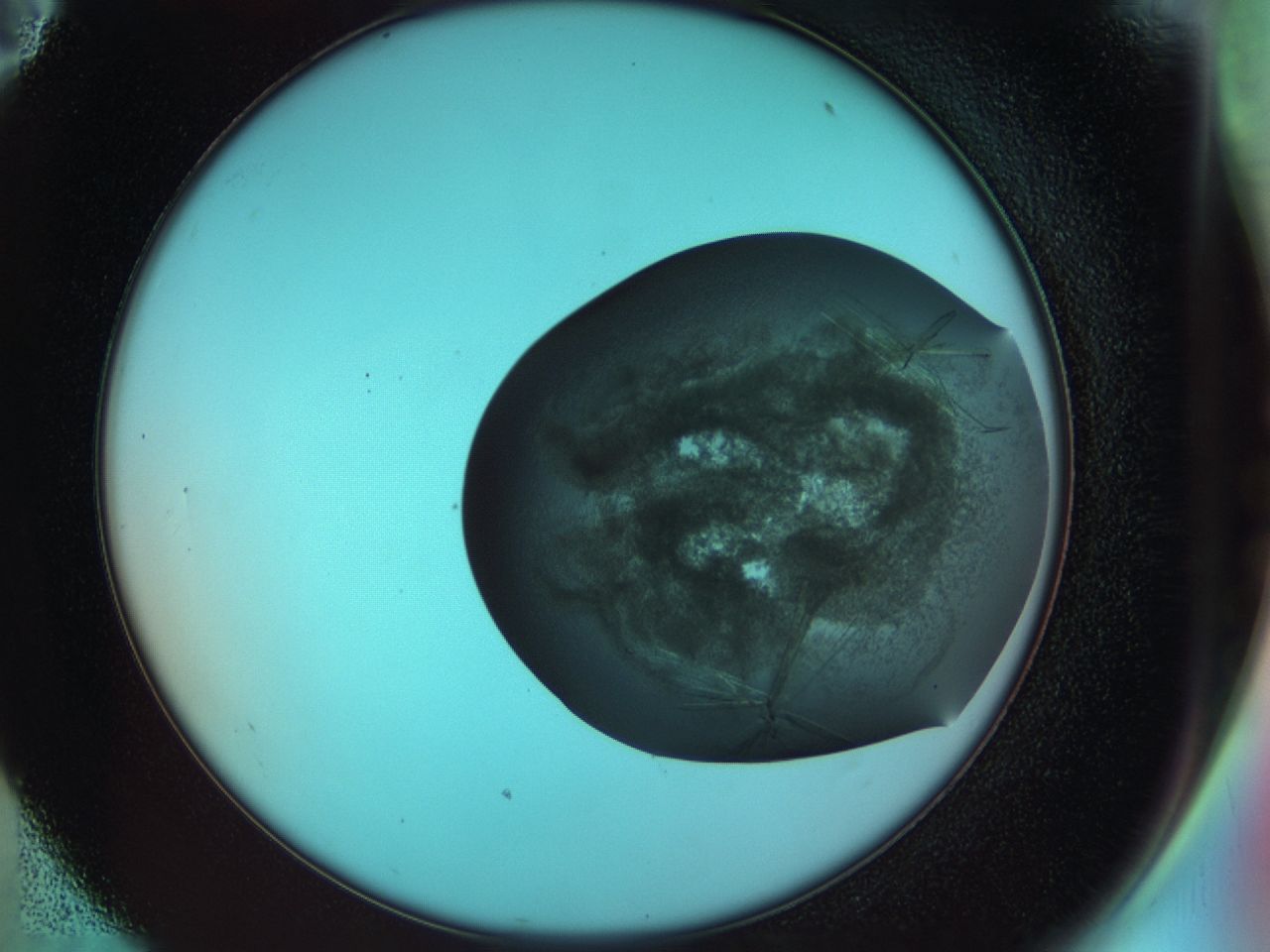 033r_E11_ImagerDefaults_8.jpg
