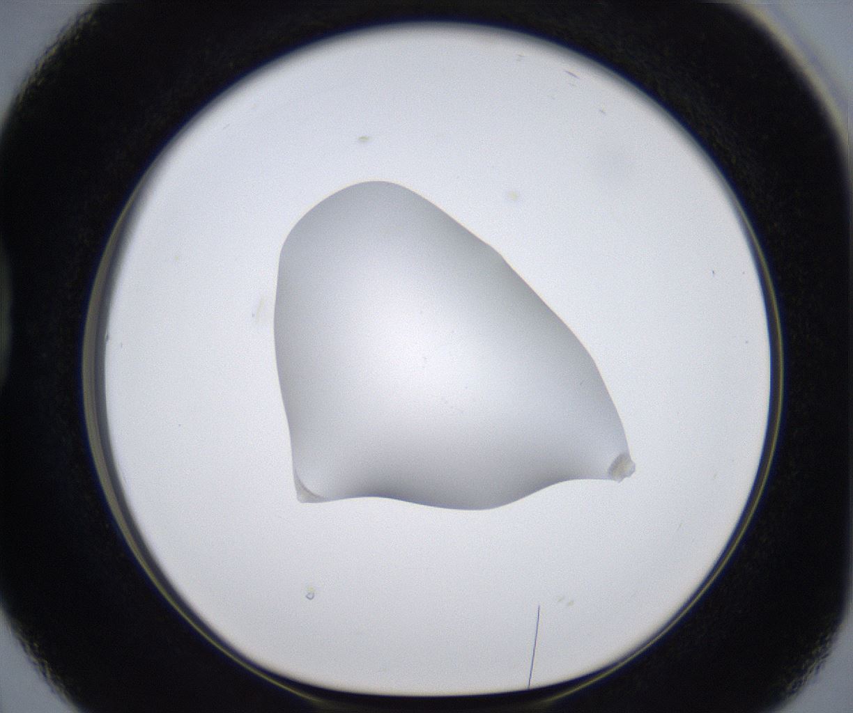 folderID377_plateID2377_batchID11227_wellNum38_profileID1_d1_r175688_ef.jpg