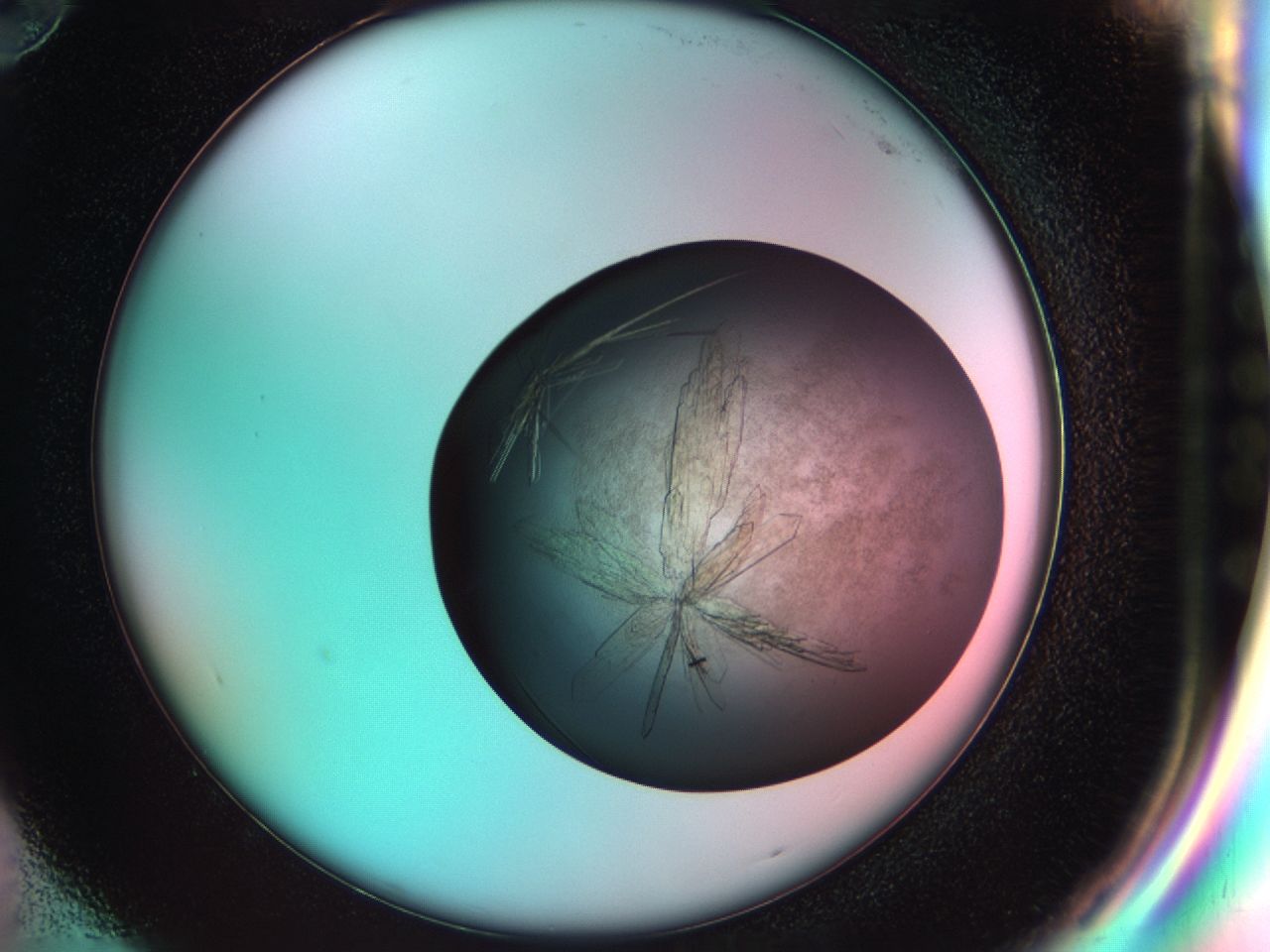 033r_G10_ImagerDefaults_9.jpg