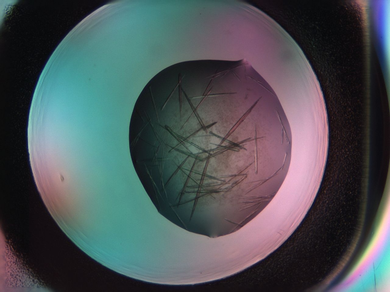 033r_F5_ImagerDefaults_9.jpg