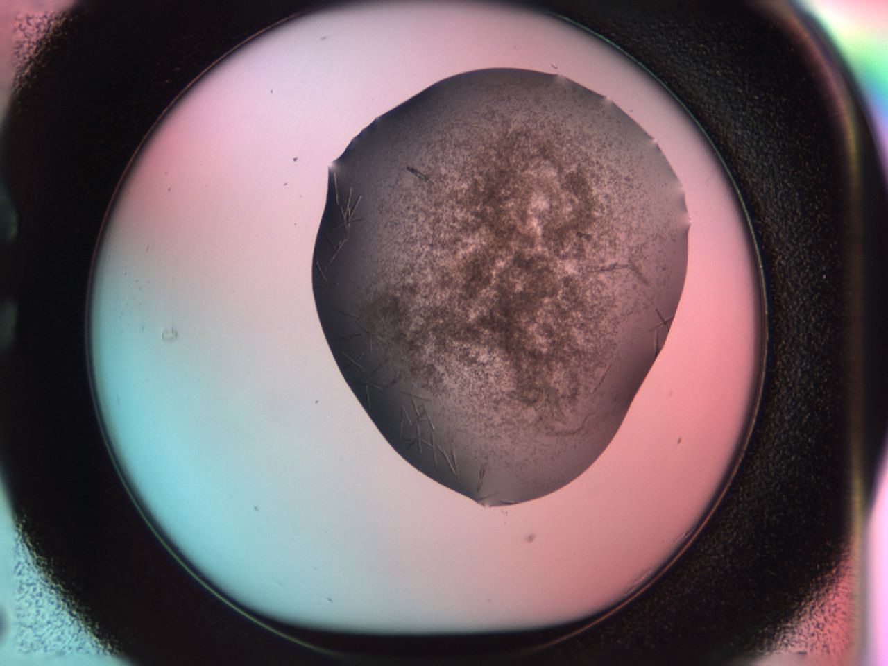 033r_C5_ImagerDefaults_8.jpg