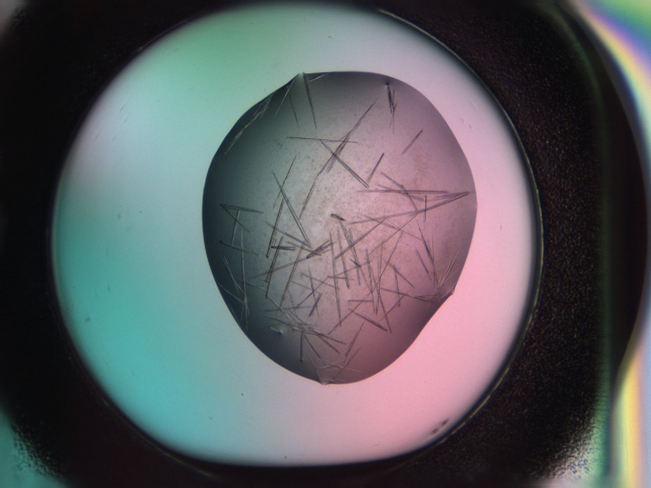 033r_G5_ImagerDefaults_8.jpg